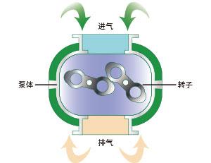 螺桿轉子